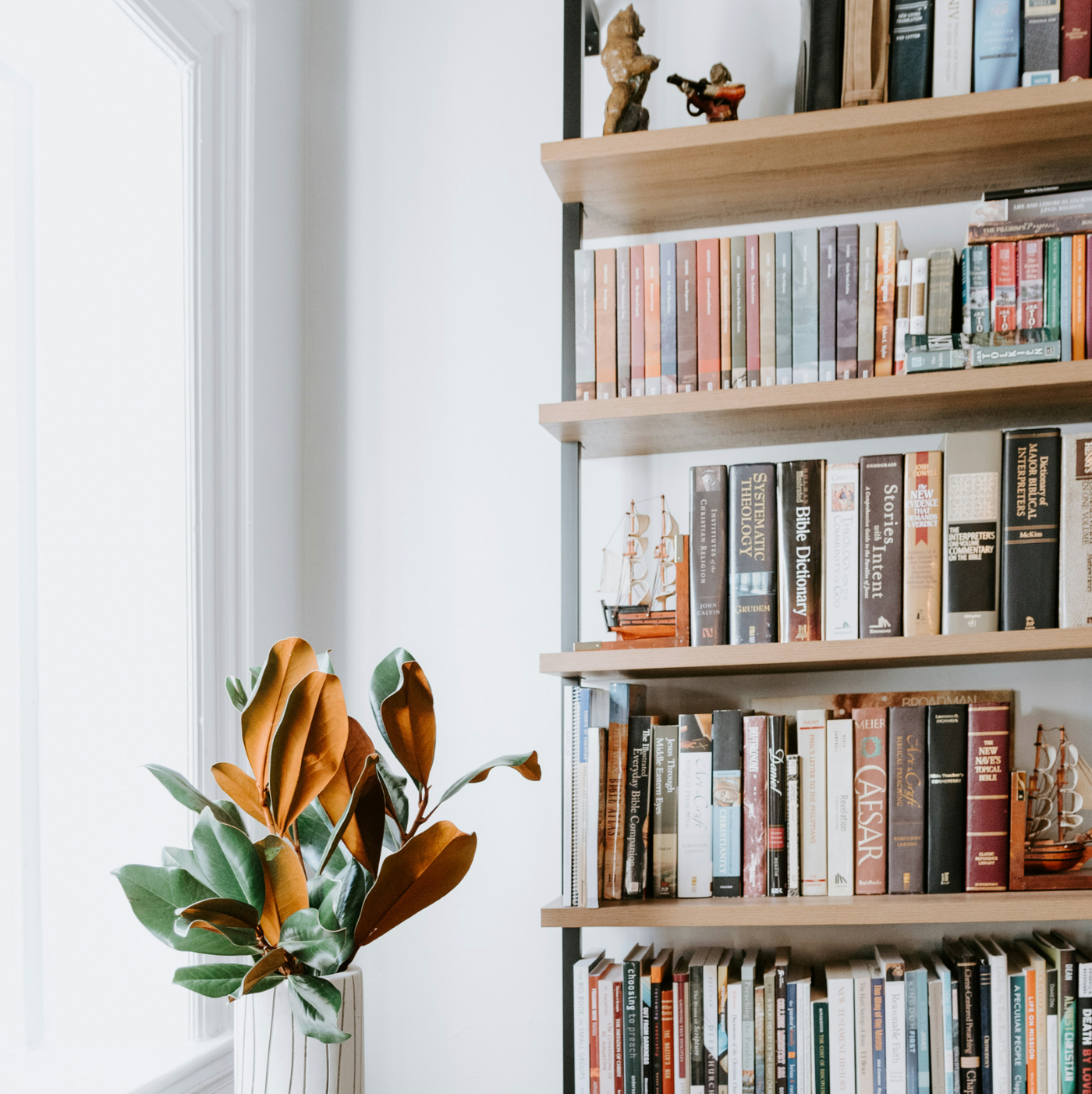 How to Decorate a Bookshelf?